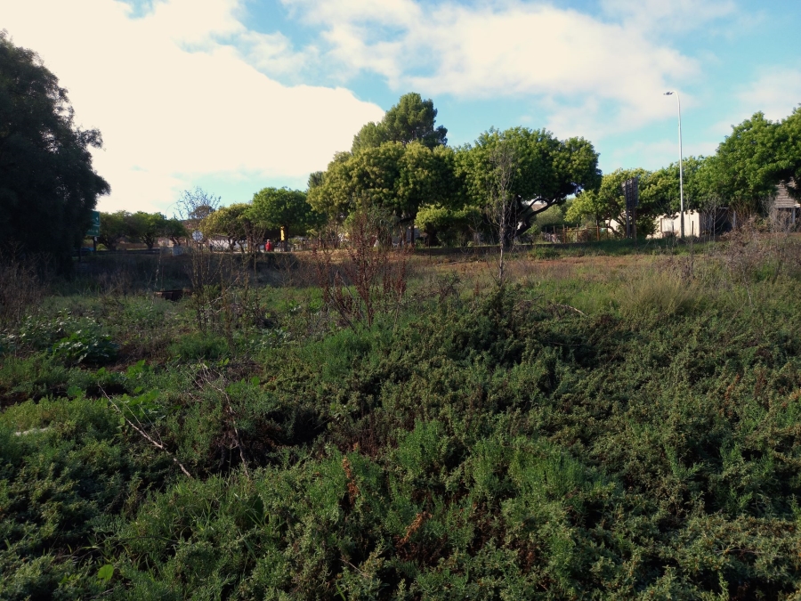 0 Bedroom Property for Sale in Uniondale Western Cape